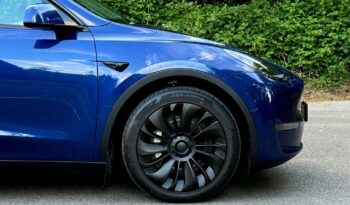 Tesla Model Y (Dual Motor) Long Range Auto 4WDE 5dr full