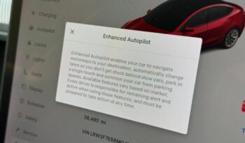 Tesla Model 3 (Dual Motor) Long Range Auto 4WDE 4dr full