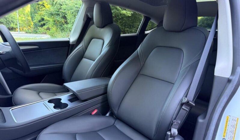 2025 Tesla Model Y Long Range Auto RWD 5dr full