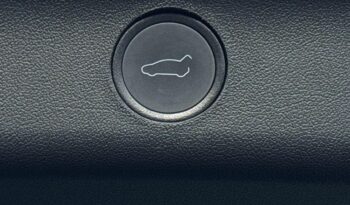 2024 Tesla Model Y Auto RWD 5dr full