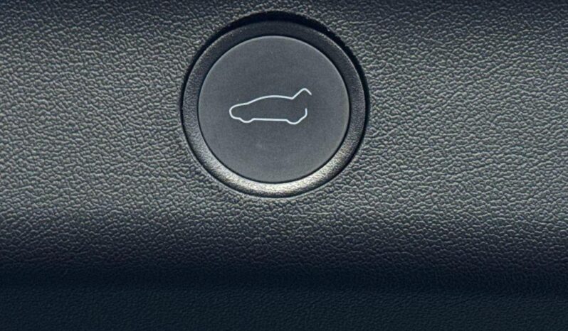 2024 Tesla Model Y Auto RWD 5dr full