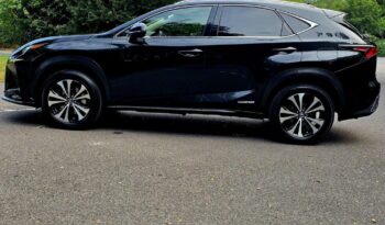 2021 Lexus NX 2.5 300h GPF E-CVT 4WD Euro 6 (s/s) 5dr full