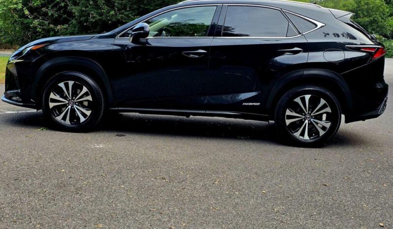 2021 Lexus NX 2.5 300h GPF E-CVT 4WD Euro 6 (s/s) 5dr full