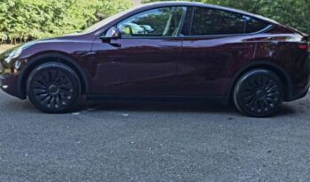 TESLA MODEL Y LONG RANGE RWD full